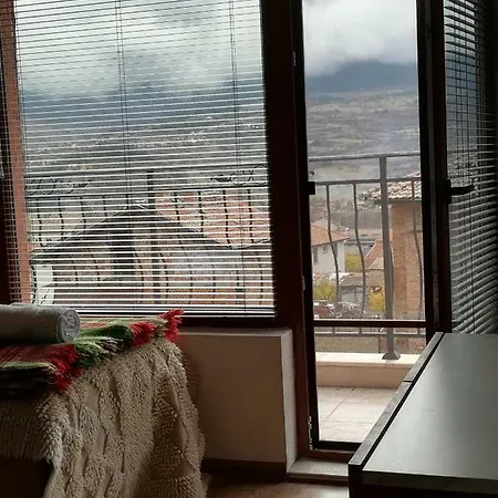 House * Hvoyna